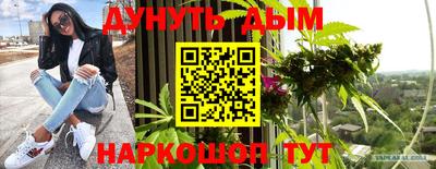 сатива Краснодар