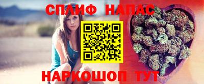 ГАЛЛЮЦИНОГЕННЫЕ ГРИБЫ Краснознаменск