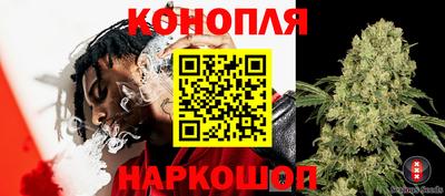 ГАЛЛЮЦИНОГЕННЫЕ ГРИБЫ Краснознаменск
