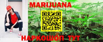 сатива Краснодар