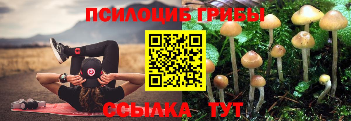 Галлюциногенные грибы GOLDEN TEACHER Йошкар-Ола