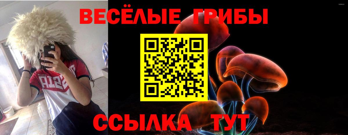 купить  цена  Псилоцибиновые грибы GOLDEN TEACHER  Вход с VPN  Йошкар-Ола 